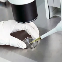 Kıbrıs'ta Aşılama Tedavisi