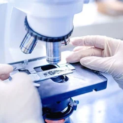 Kıbrıs Kısırlık Tedavisi