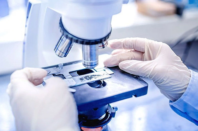 Kıbrıs Kısırlık Tedavisi