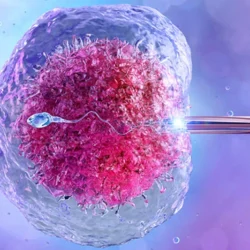 Kıbrıs'ta Tüp Bebek Tedavisi