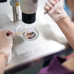 Kıbrıs tüp bebek tedavisi fiyatları 2025